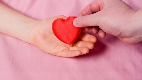 Món quà cho những người thầy thuốc