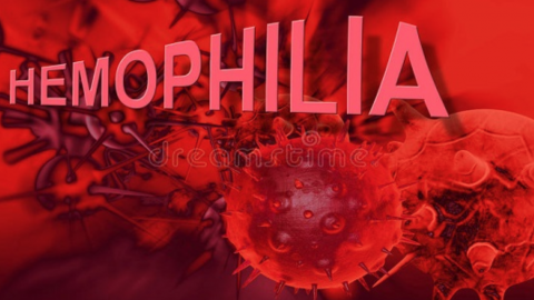 Chăm sóc trẻ bị Hemophilia