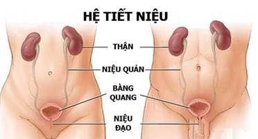 Chấn thương thận ở trẻ em