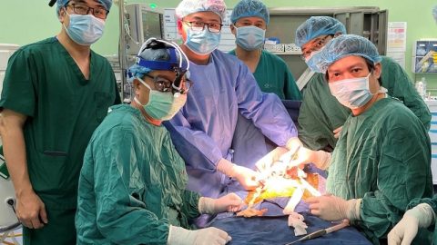 GHÉP TẾ BÀO GỐC ĐIỀU TRỊ CÁC BỆNH LÝ Ở TRẺ EM