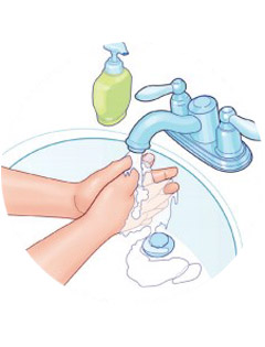 Nhấn vào ảnh để phóng to