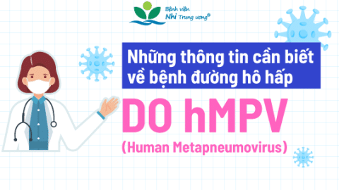 Bệnh đường hô hấp do hMPV (Human Metapneumovirus): Cần nâng cao cảnh giác và phòng bệnh, không hoang mang