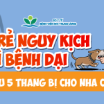Trẻ nguy kịch vì bệnh dại sau 5 tháng bị chó nhà cắn