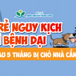 Trẻ nguy kịch vì bệnh dại sau 5 tháng bị chó nhà cắn