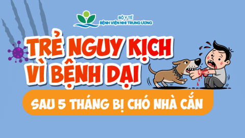 Trẻ nguy kịch vì bệnh dại sau 5 tháng bị chó nhà cắn