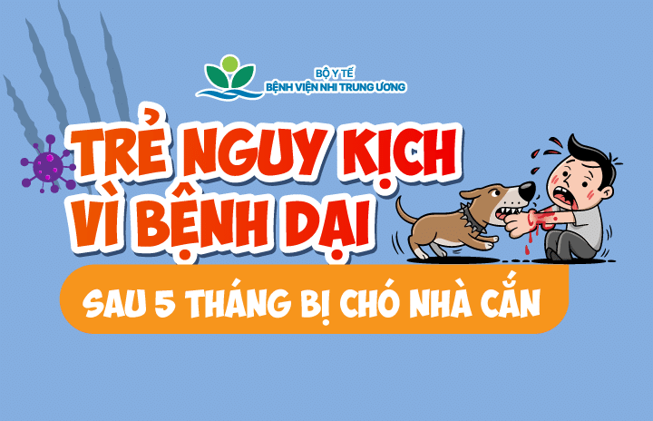 Trẻ nguy kịch vì bệnh dại sau 5 tháng bị chó nhà cắn