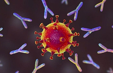 So sánh việc sử dụng methylprednisolon đơn độc với việc kết hợp imunoglobulin trong điều trị hội chứng viêm đa hệ thống ở trẻ em (MIS-C)
