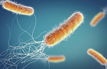 Tổng quan về điều trị Pseudomonas aeruginosa đa kháng trên trẻ em