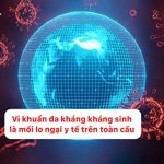 [VIDEO] Vi khuẩn đa kháng là gì, thường gặp ở đâu? Vai trò của phòng xét nghiệm vi sinh trong kiểm soát kháng sinh