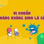 [VIDEO] Vi khuẩn kháng kháng sinh: Nguyên nhân, tác hại, cách phòng ngừa lây nhiễm trong môi trường bệnh viện