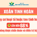 Xoắn tinh hoàn: Nguy cơ hoại tử hoặc teo tinh hoàn lên đến 68% nếu không được điều trị kịp thời