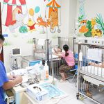 Ba trẻ bị ong đốt: một trẻ tử vong ngay khi đến cơ sở y tế, hai trẻ đang được điều trị tại Bệnh viện Nhi Trung ương