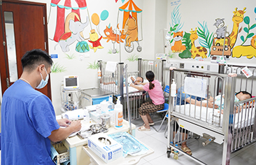 Ba trẻ bị ong đốt: một trẻ tử vong ngay khi đến cơ sở y tế, hai trẻ đang được điều trị tại Bệnh viện Nhi Trung ương