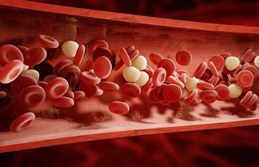 Biến cố bất lợi của các thuốc ức chế yếu tố Xa ở trẻ em: Nghiên cứu phân tích gộp và cảnh giác dược