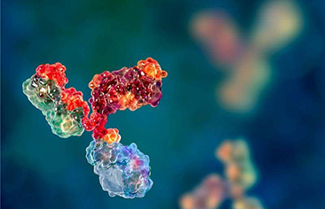 Cơ chế các kháng thể đơn dòng trong điều trị một số bệnh trên trẻ em