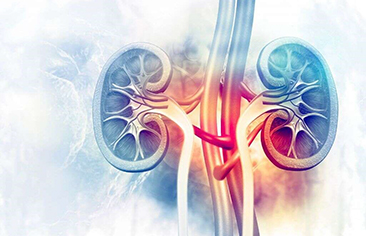 Hiệu chỉnh liều carboplatin trên bệnh nhi suy thận