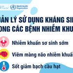 Quản lý sử dụng kháng sinh trong các bệnh nhiễm khuẩn