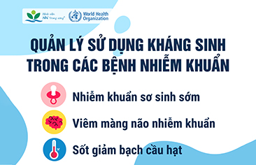 Quản lý sử dụng kháng sinh trong các bệnh nhiễm khuẩn
