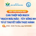 [Thông báo] Hội thảo khoa học: Can thiệp nội mạch bệnh lý mạch máu não – tủy sống nhi khoa: Từ lý thuyết đến thực hành