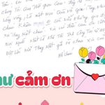 Lá thư cảm ơn đặc biệt: Giữa nỗi đau, lòng biết ơn và sự tử tế vẫn có sức mạnh lan tỏa diệu kỳ