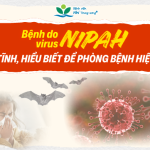 Bệnh do virus Nipah: bình tĩnh, hiểu biết để phòng bệnh hiệu quả