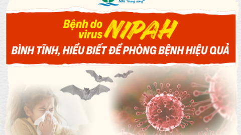Bệnh do virus Nipah: bình tĩnh, hiểu biết để phòng bệnh hiệu quả