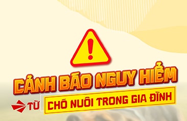 Bé trai 3 tuổi bị chó cắn thấu ngực: Cảnh báo nguy hiểm tiềm ẩn từ vật nuôi trong gia đình