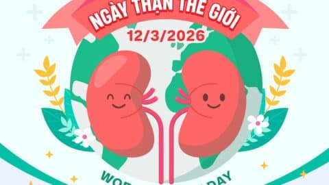 Hưởng ứng Ngày Thận Thế giới 2026: Sức khỏe thận cho trẻ em, từ can thiệp sớm đến chăm sóc bền vững