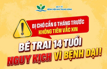 Liên tiếp nhiều trẻ bị chó cắn phải nhập viện – Bé trai 14 tuổi nguy kịch vì bệnh dại