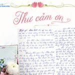 Hai lá thư cảm ơn – hai câu chuyện của những bệnh nhi được ghép tế bào gốc, nhưng cùng chung một hành trình: hành trình đi qua thử thách để chạm tới hy vọng và sự sống