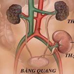 Hướng dẫn chăm sóc và theo dõi bệnh nhi tại nhà sau ghép thận