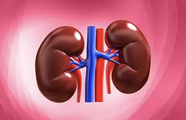 Độc tính trên thận trong hóa trị liệu ung thư nhi khoa