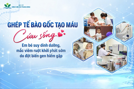 Ghép tế bào gốc tạo máu: Cứu sống em bé suy dinh dưỡng, mắc viêm ruột khởi phát sớm do đột biến gen hiếm gặp