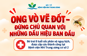 Bé trai sốc phản vệ nguy kịch sau khi bị ong vò vẽ đốt, được cấp cứu thành công tại Bệnh viện Nhi Trung ương cơ sở 2